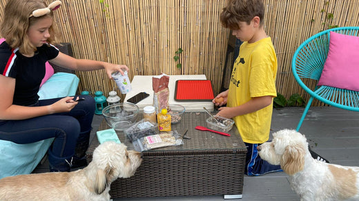 Fun low cost Outdoor Activities for Kids and Dogs This Summer