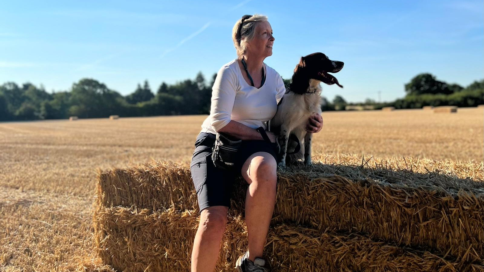 Safer Autumn walks and Adventures with your dog - 5 things to watch out for!