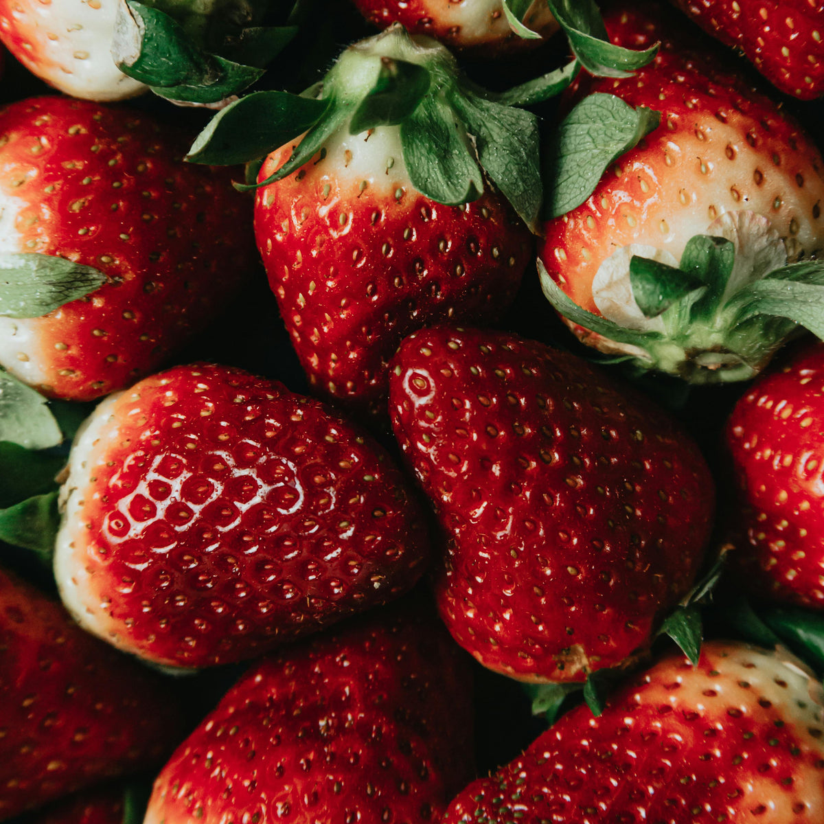 Poppy & George's Healthy Eating – No Fuss Fill