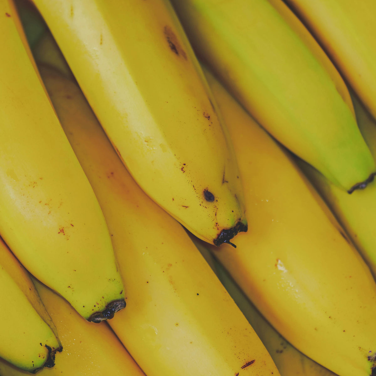 Banana fish Split – No Fuss Fill