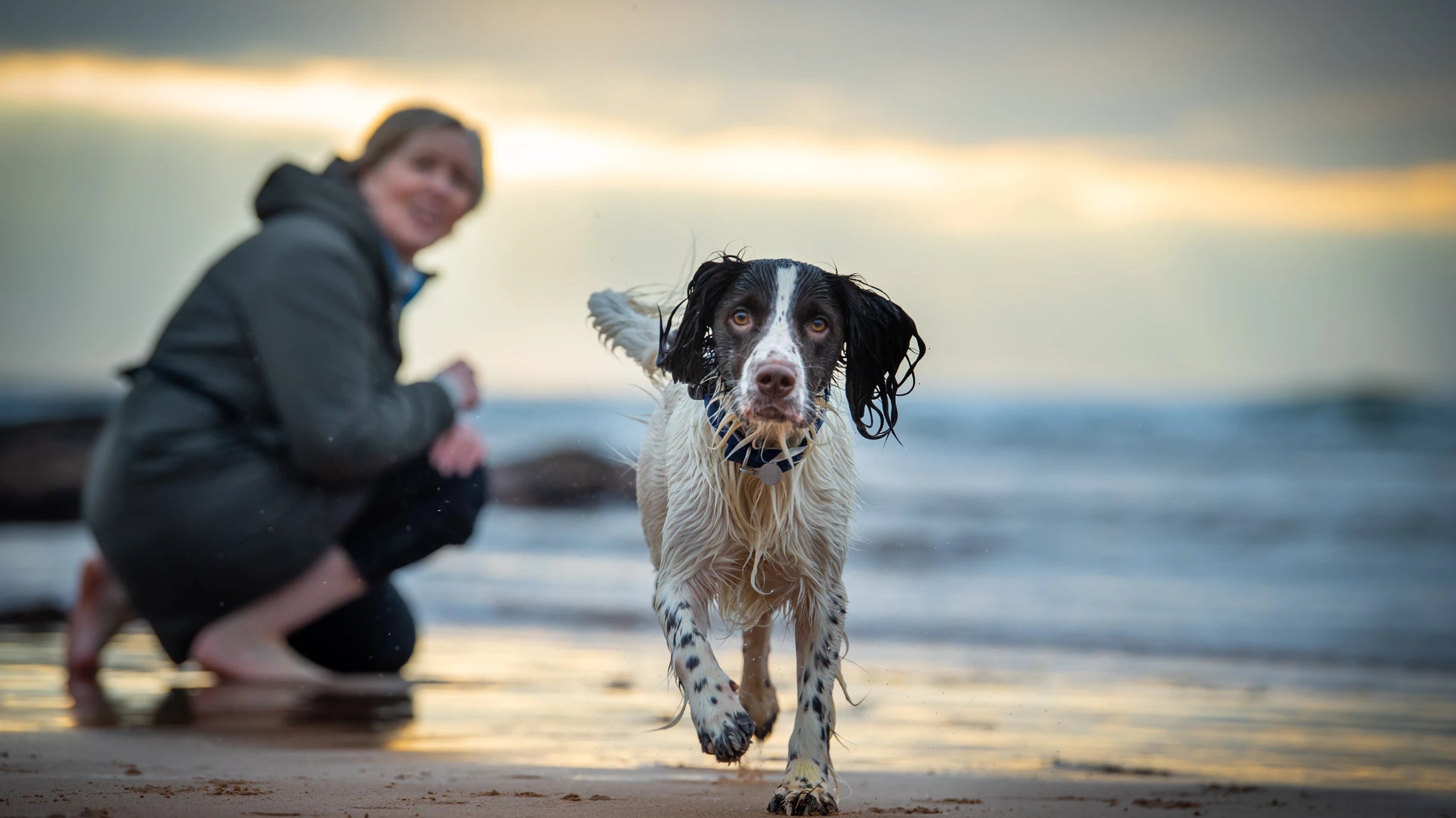 4 Things to consider before booking a photoshoot for your dog and top tips for success