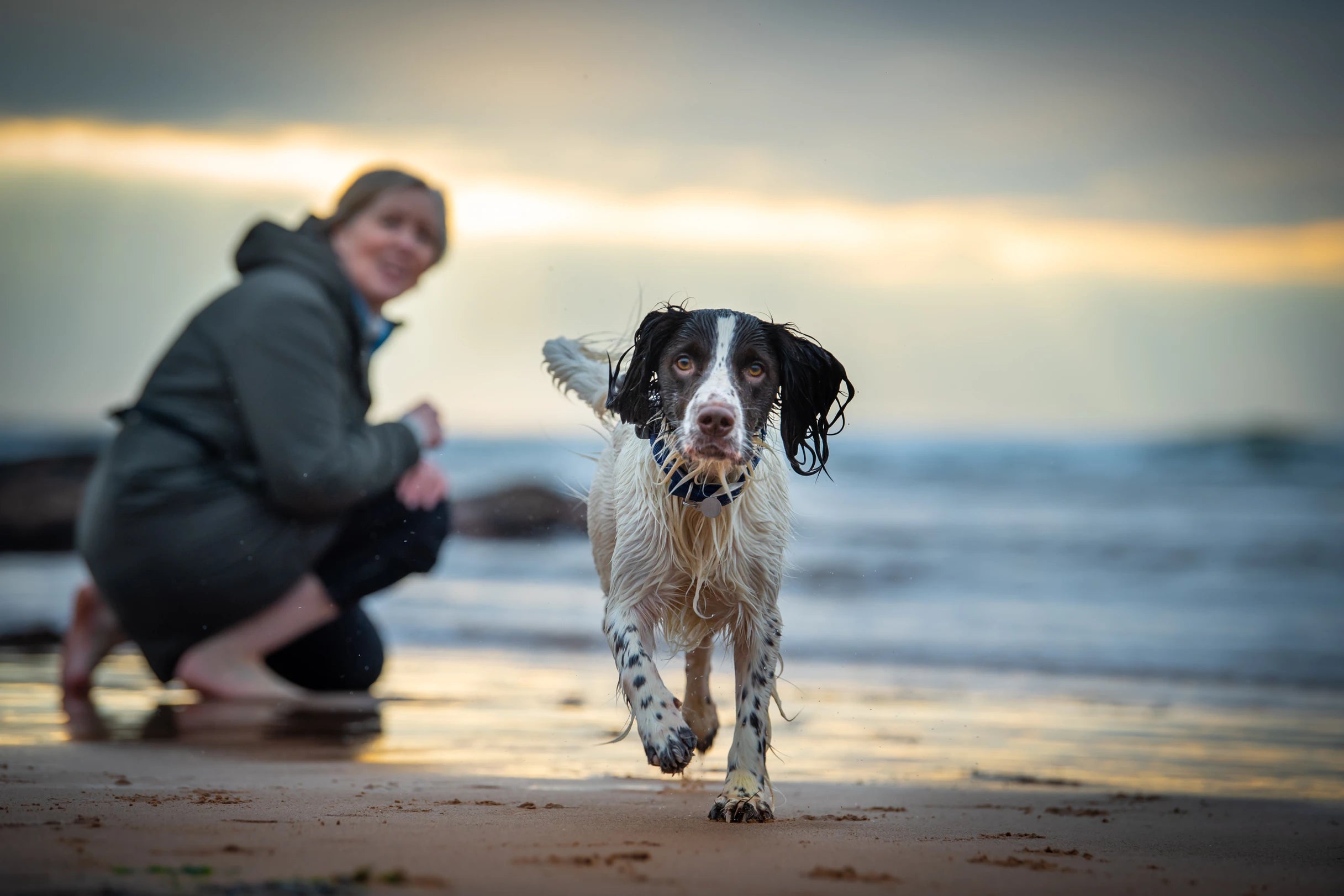 4 Things to consider before booking a photoshoot for your dog and top tips for success