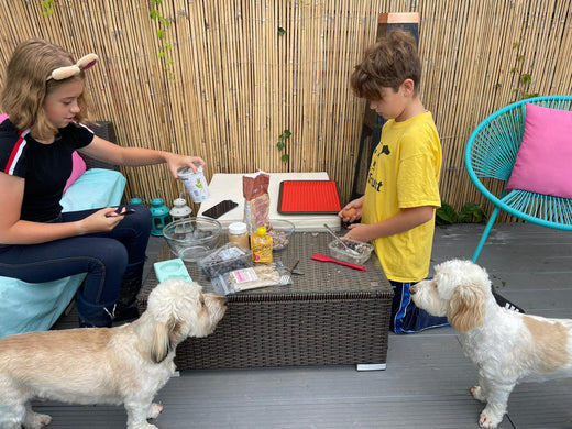 Fun low cost Outdoor Activities for Kids and Dogs This Summer