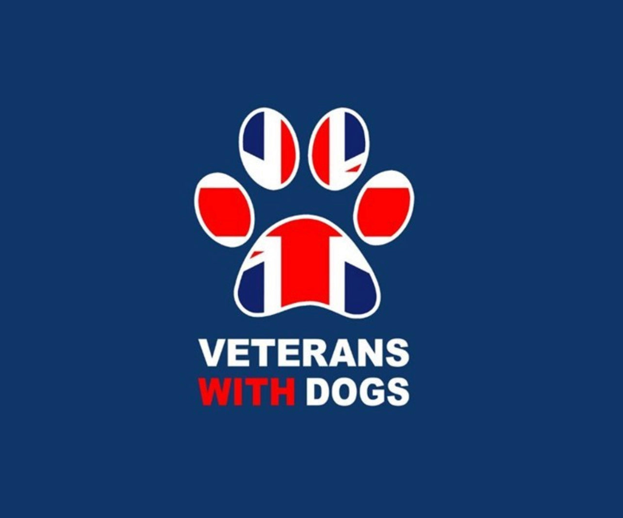 The difference between therapy & assistance dogs and 4 top tips for starting assistance training