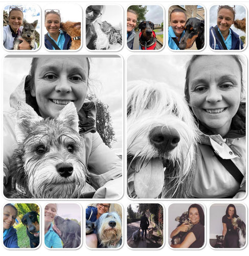 How to choose a dog walker, the questions you might not have thought to ask