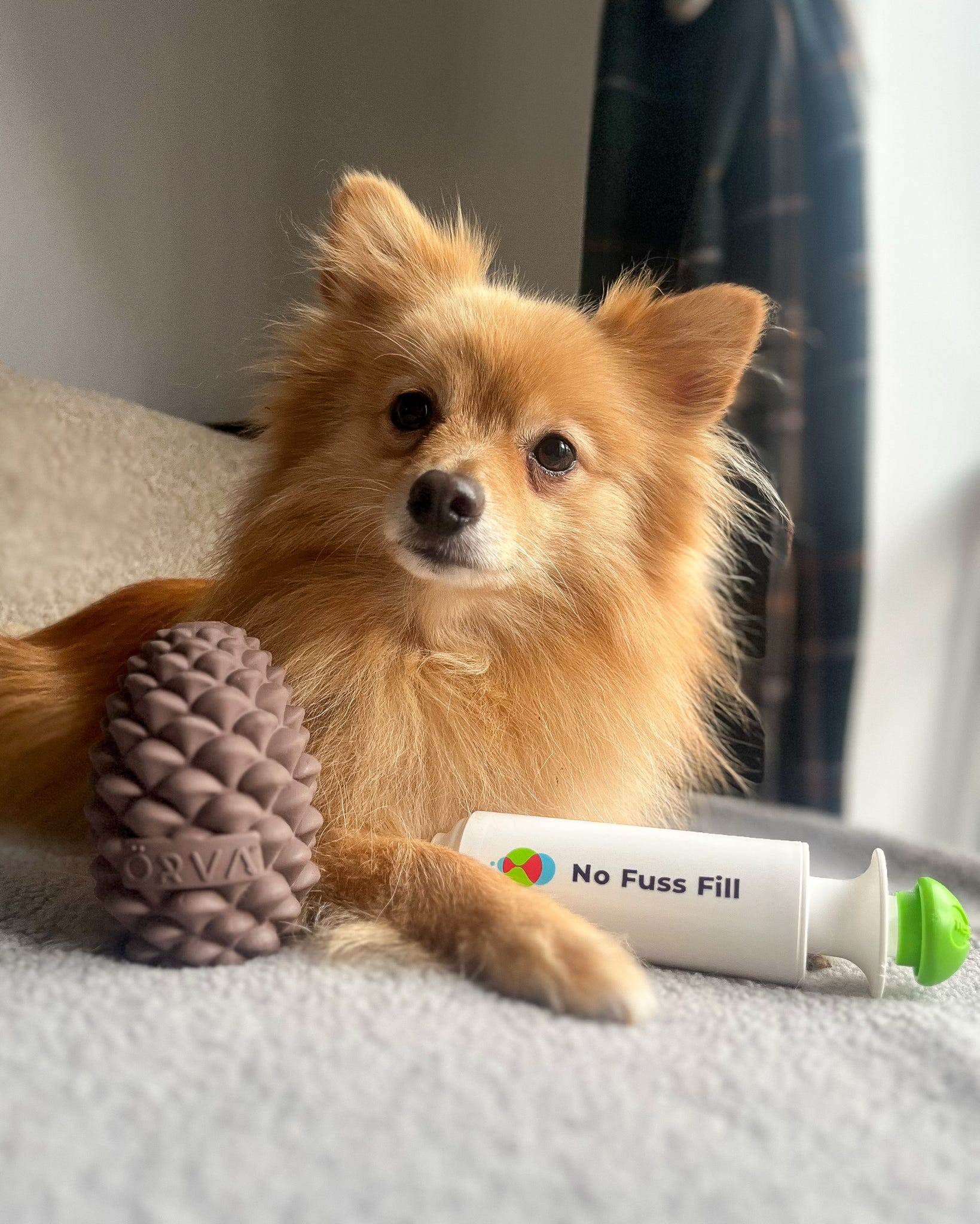 Ancol Orva Pine Cone dog enrichment toy next to a No Fuss Fill enrichment toy filler