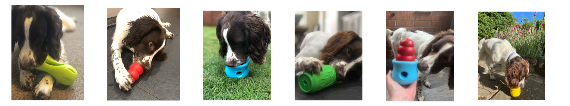 I Used to Think Walks Were Enough!