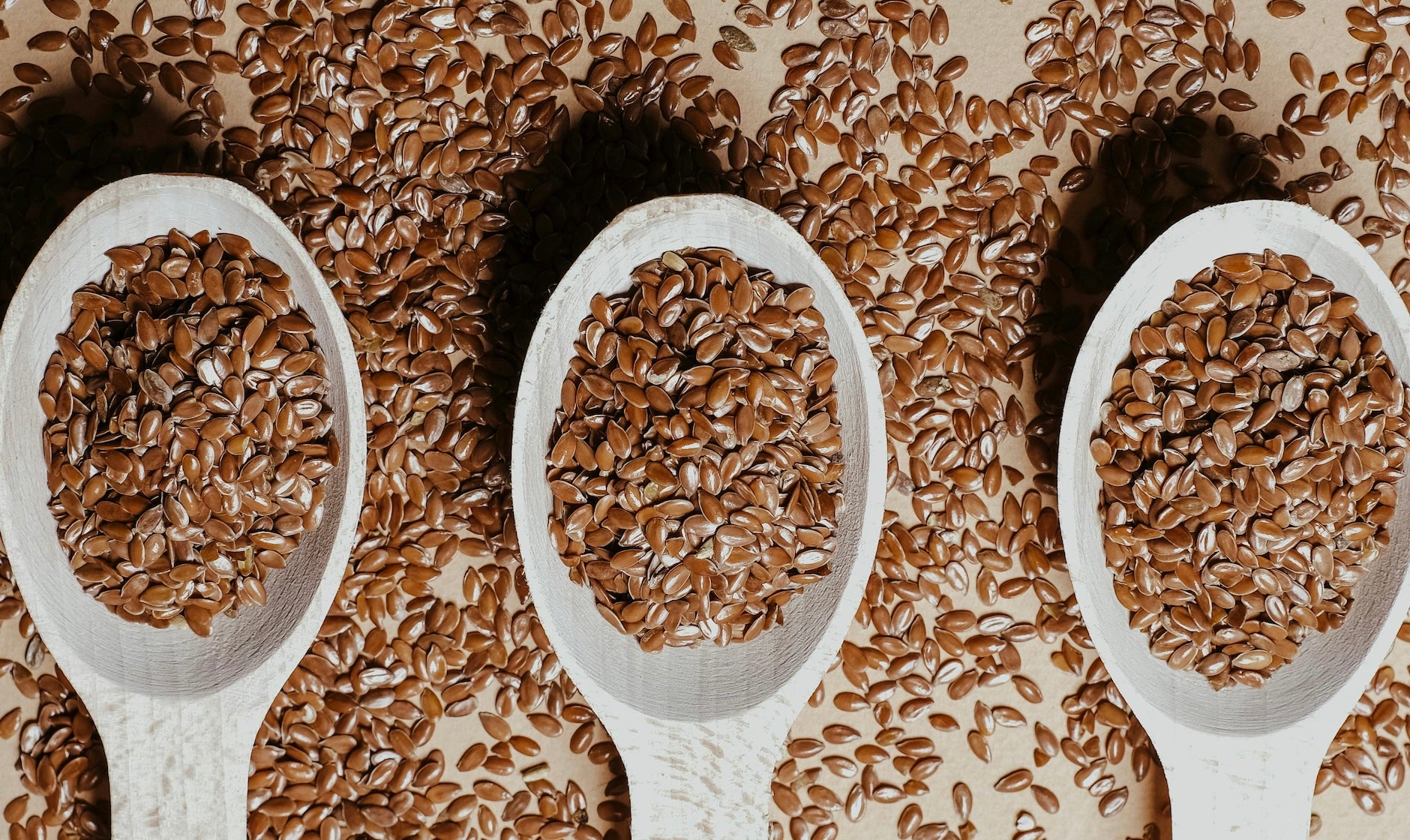 Doggy  Breakfast Pancakes