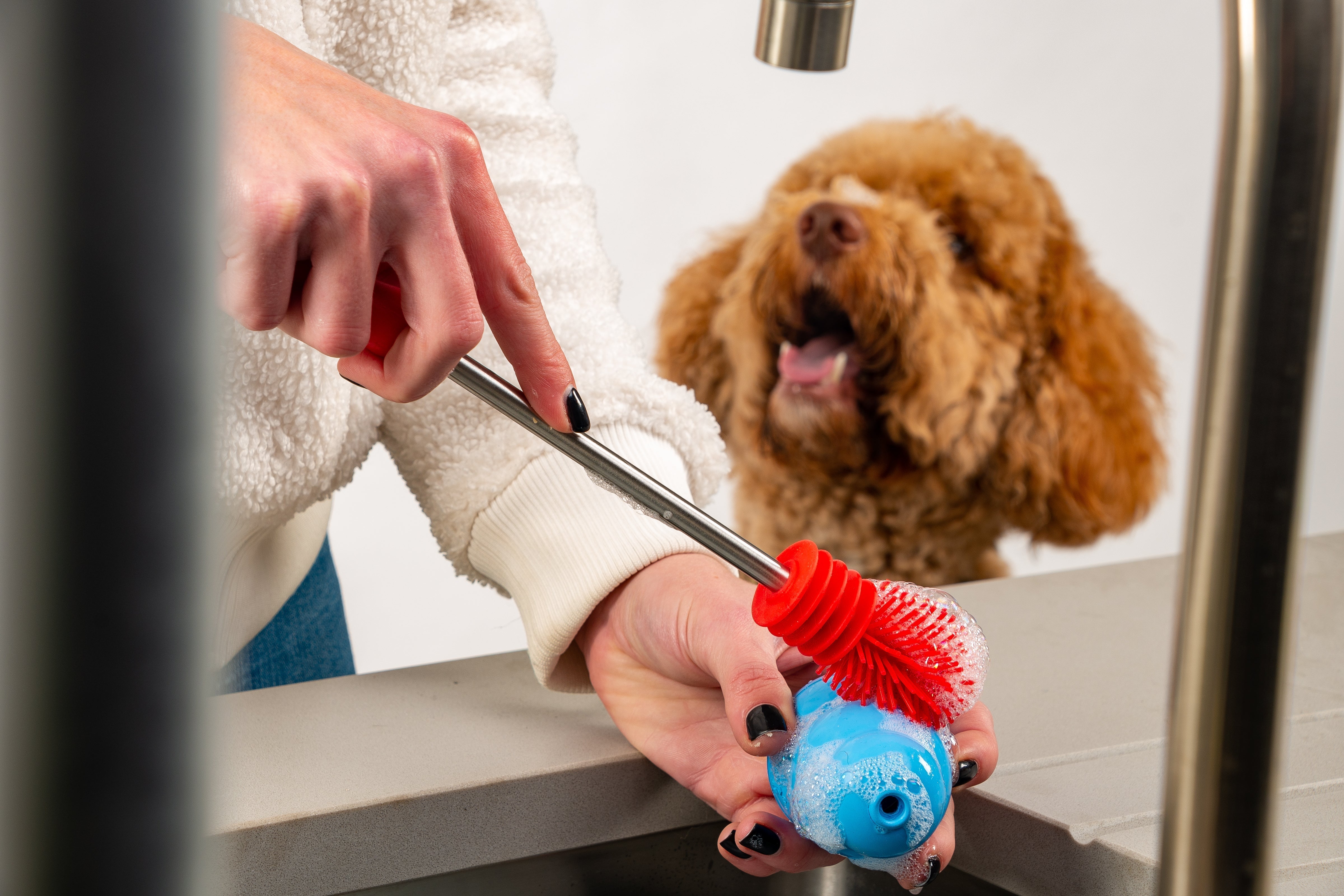 Dog watching owner clean a blue KONG toy with a No Fuss Red Cleaning Brush 