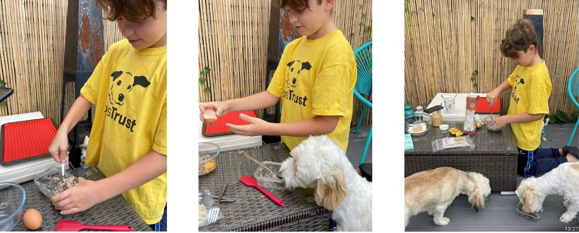 Young boy wearing a yellow dogs trust t shirt preparing dog treats using a pyramid mat whilst a small dog looks on 